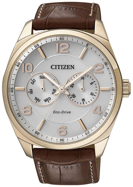 где купить Citizen Citizen AO9024-16A по лучшей цене