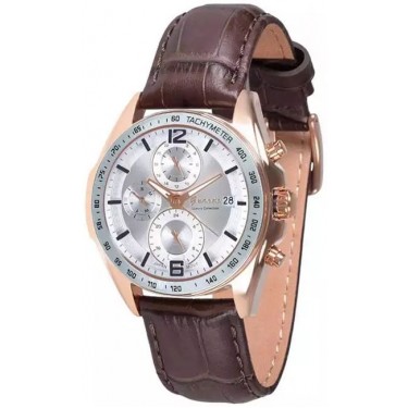 Мужские часы Guardo S6526.8.1 сталь