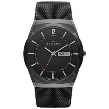 Мужские наручные часы Skagen SKW6006