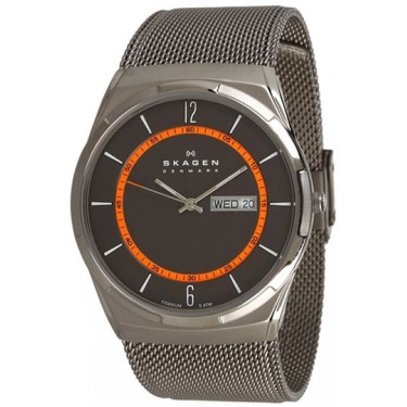Мужские наручные часы Skagen SKW6007