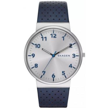 Мужские наручные часы Skagen SKW6162