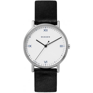 Мужские наручные часы Skagen SKW6412