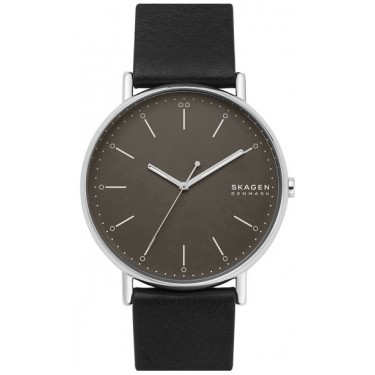 Мужские наручные часы Skagen SKW6528
