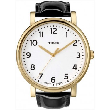 Мужские наручные часы Timex T2N384