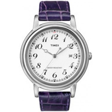 Мужские наручные часы Timex T2N668