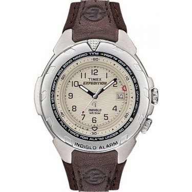 Мужские наручные часы Timex T47902