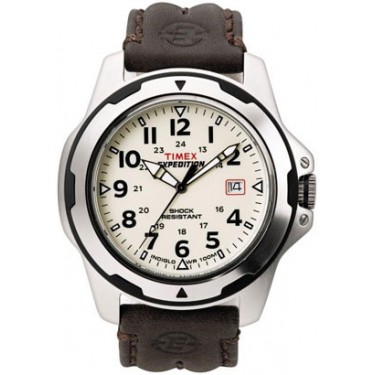 Мужские наручные часы Timex T49261