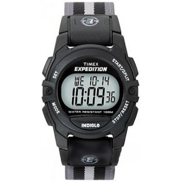 Мужские наручные часы Timex T49661