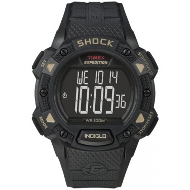 Мужские наручные часы Timex T49896