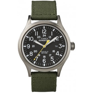Мужские наручные часы Timex T49961