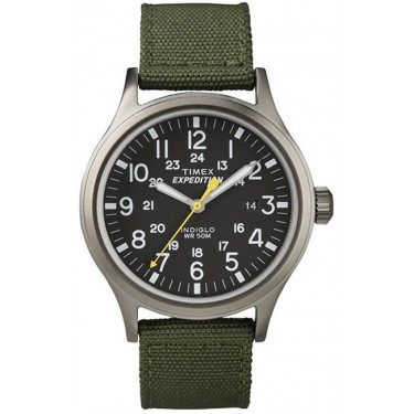 Мужские наручные часы Timex T49961
