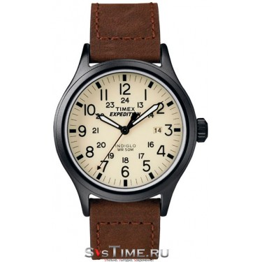 Мужские наручные часы Timex T49963