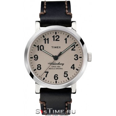 Мужские наручные часы Timex TW2P58800