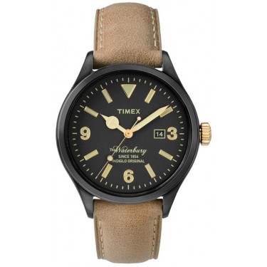 Мужские наручные часы Timex TW2P74900