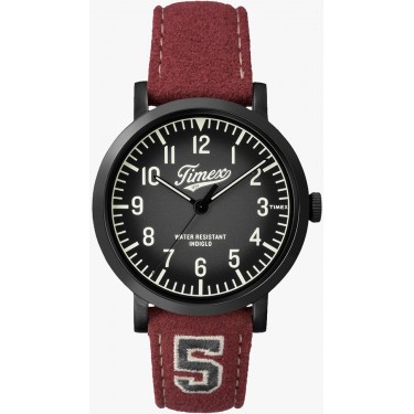 Мужские наручные часы Timex TW2P83200