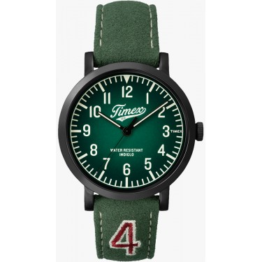 Мужские наручные часы Timex TW2P83300
