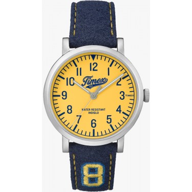 Мужские наручные часы Timex TW2P83400