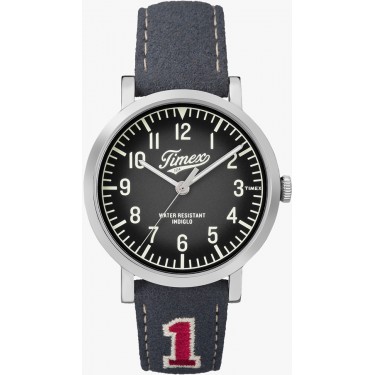 Мужские наручные часы Timex TW2P92500