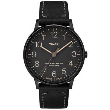 Мужские наручные часы Timex TW2P95900