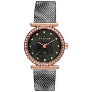 Женские наручные часы Skagen 108SRM