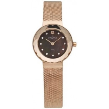 Женские наручные часы Skagen 456SRR1