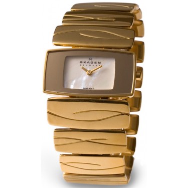 Женские наручные часы Skagen 593SGXG