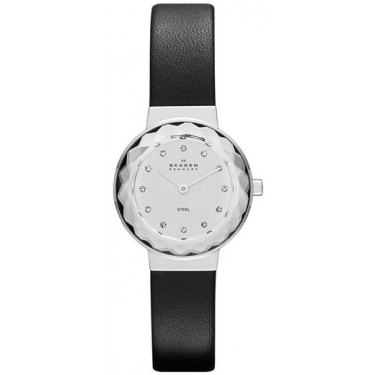 Женские наручные часы Skagen SKW2005