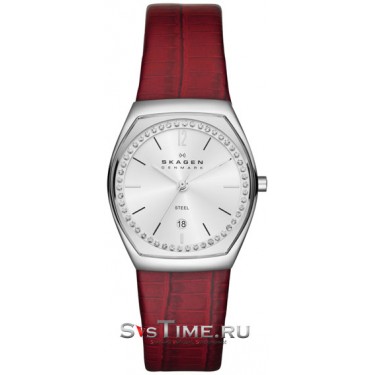 Женские наручные часы Skagen SKW2103