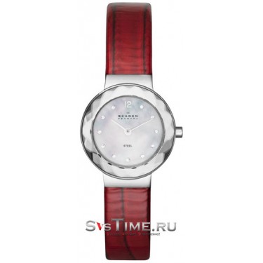 Женские наручные часы Skagen SKW2109