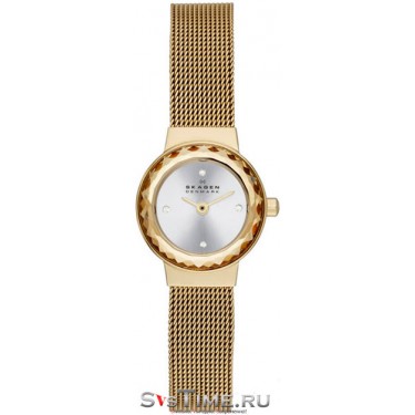 Женские наручные часы Skagen SKW2186