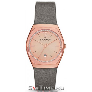 Женские наручные часы Skagen SKW2259