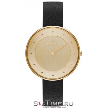 Женские наручные часы Skagen SKW2262