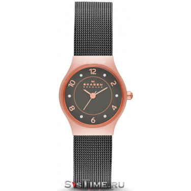 Женские наручные часы Skagen SKW2270