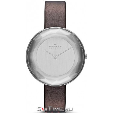 Женские наручные часы Skagen SKW2274