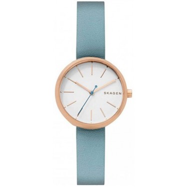 Женские наручные часы Skagen SKW2621