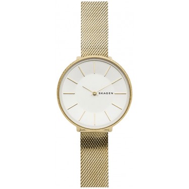 Женские наручные часы Skagen SKW2722