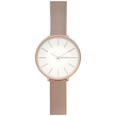 Женские наручные часы Skagen SKW2726