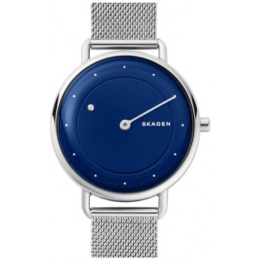 Женские наручные часы Skagen SKW2738