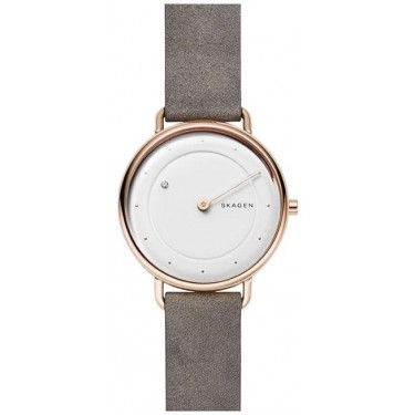 Женские наручные часы Skagen SKW2739