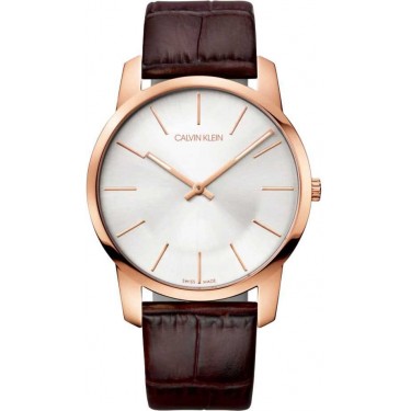Мужские наручные часы Calvin Klein K2G21629