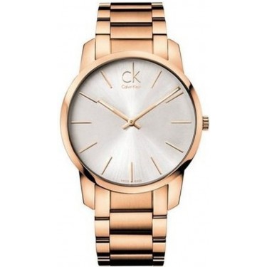 Мужские наручные часы Calvin Klein K2G21646