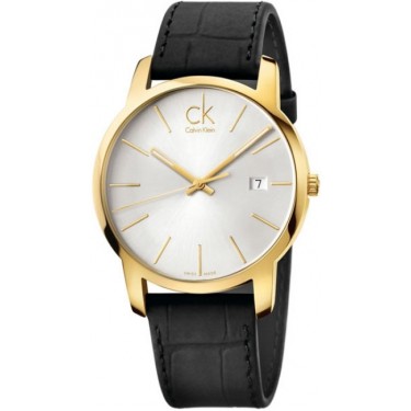 Мужские наручные часы Calvin Klein K2G2G5C6