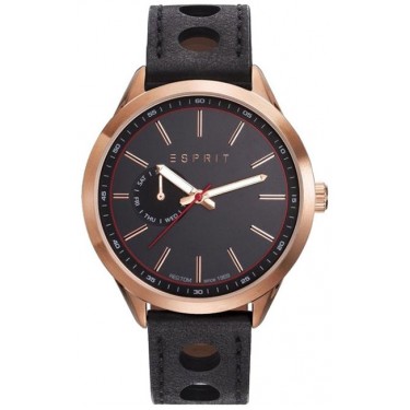 Мужские наручные часы Esprit ES109211002