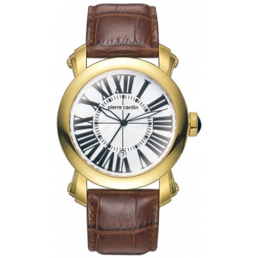 Мужские наручные часы Pierre Cardin PC067511002