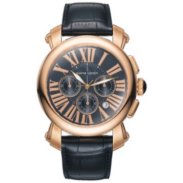 Мужские наручные часы Pierre Cardin PC067521002