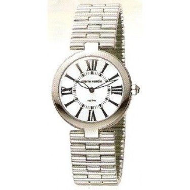 Мужские наручные часы Pierre Cardin PC068651001