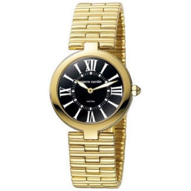 Мужские наручные часы Pierre Cardin PC068651002