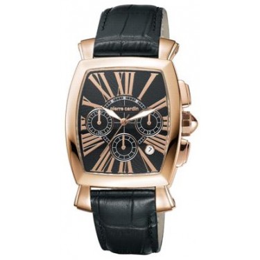 Мужские наручные часы Pierre Cardin PC100221F03