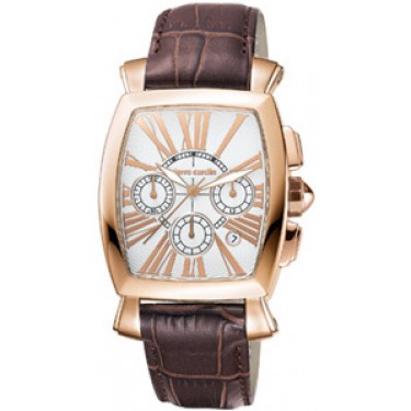 Мужские наручные часы Pierre Cardin PC100221F05