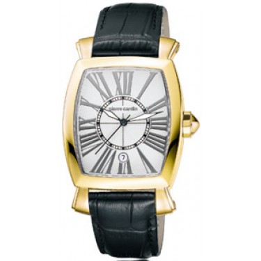 Мужские наручные часы Pierre Cardin PC100261F02